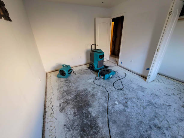 Best Flood damage cleanup  in Charlotte Hall, MD