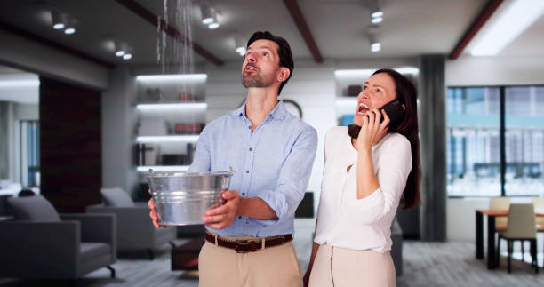 Best Basement water damage restoration  in Charlotte Hall, MD